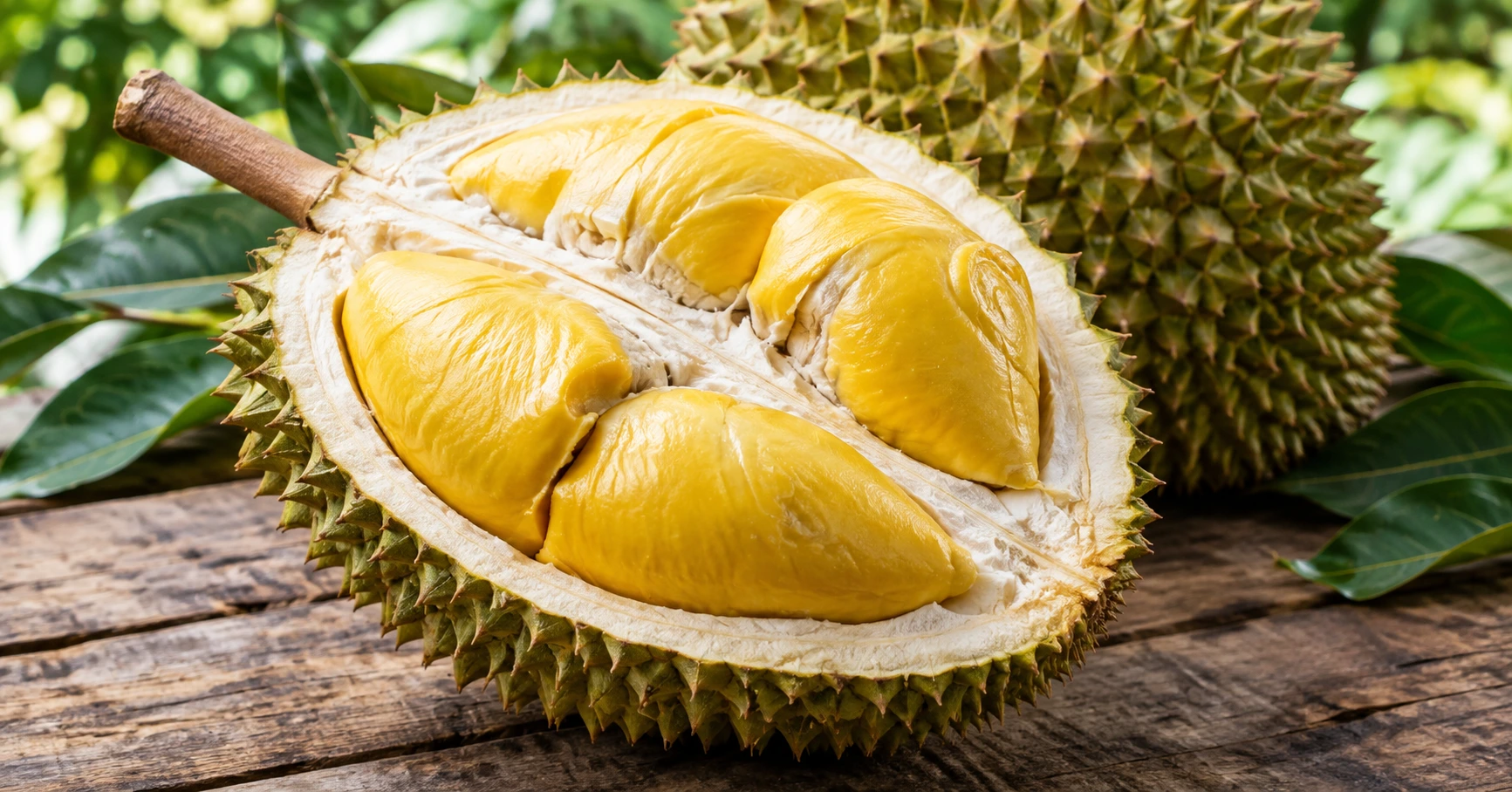 Tổng quan về giống cây sầu riêng musang king - image 1 Tổng quan về giống cây sầu riêng musang king - image 1