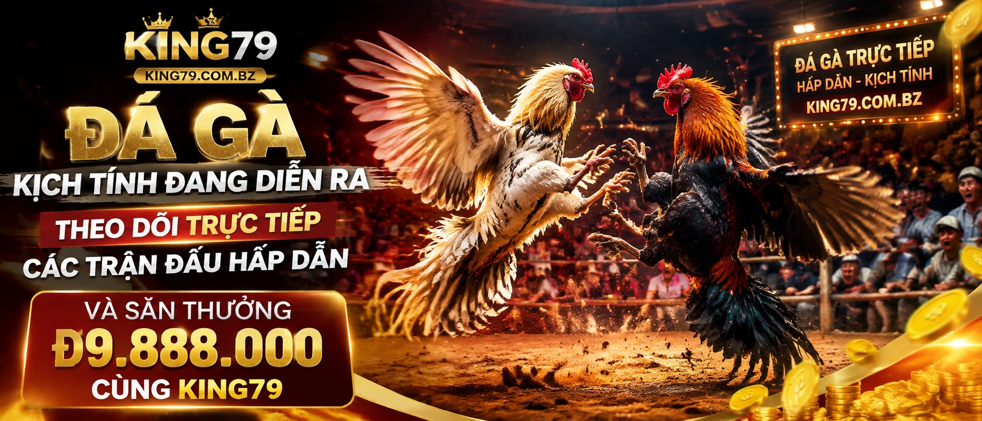 Đá Gà Trực Tiếp trên mobile