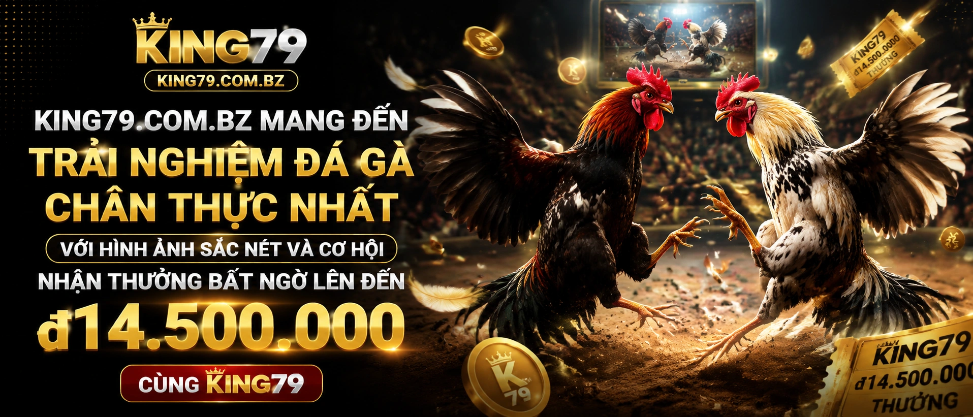 Đá Gà Campuchia danh mục giải trí