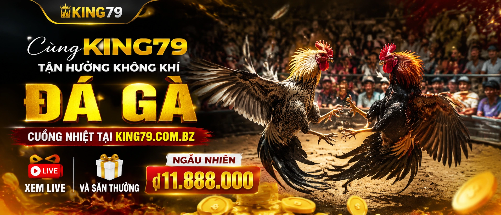 Đá Gà giải trí tại king79.com.bz